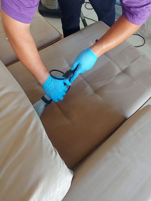 Técnico da All Cleaner de luvas higienizando o sofá